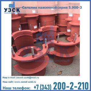 Сальники нажимные серия 5.900-3 в Нижнекамске
